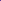 Pullover Rundhalsausschnitt Basic - Merinowolle - Fluoreszierendes Violett