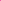 Handschuhe Regulär Zweifarbig - 100% Kaschmir - Flash Pink